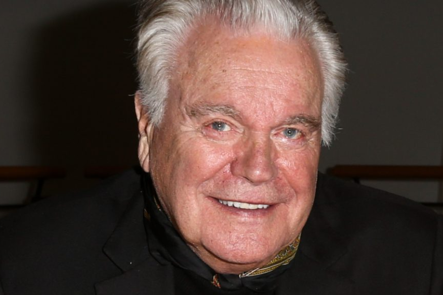 robert wagner net worth